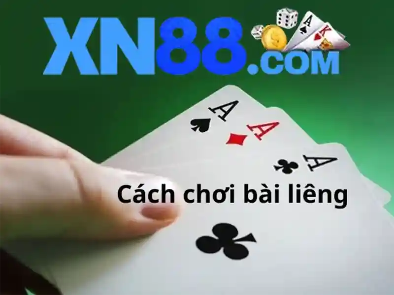 xn88 link: khám phá sức mạnh liên kết cho SEO