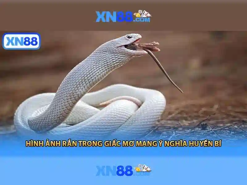 Trải nghiệm người dùng và phản hồi từ cộng đồng