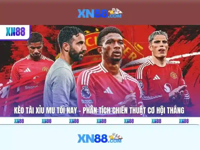 Sản phẩm và dịch vụ cốt lõi: ứng dụng thực tế của app xn88 com