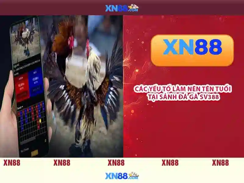 xn88. – Trải nghiệm cược số1: an toàn, nhanh chóng và đẳng cấp