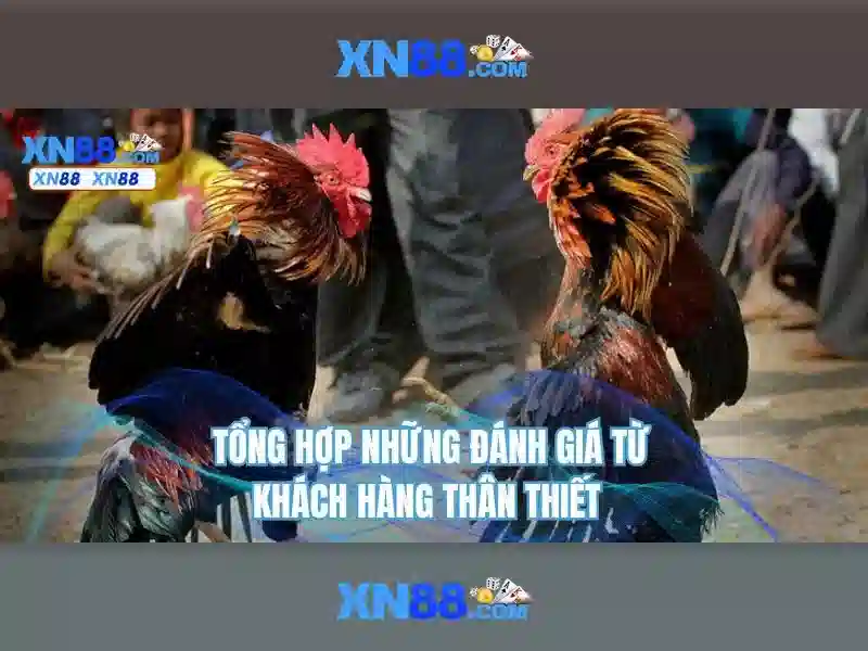 xn88 slot: Trải nghiệm hoàn hảo và khuyến mãi xn88