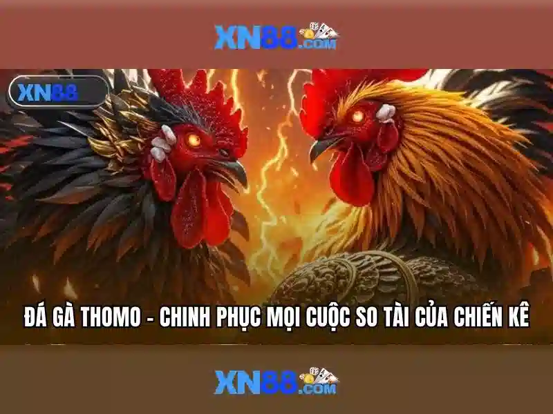 <!--IMG_PLACEHOLDER alt>Nguồn gốc và sứ mệnh của xn88 bet-->