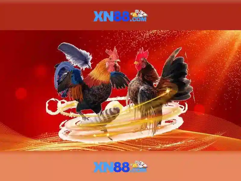 bandcamp bandcamp xn88 – Tổng quan chủ đề và giá trị cốt lõi