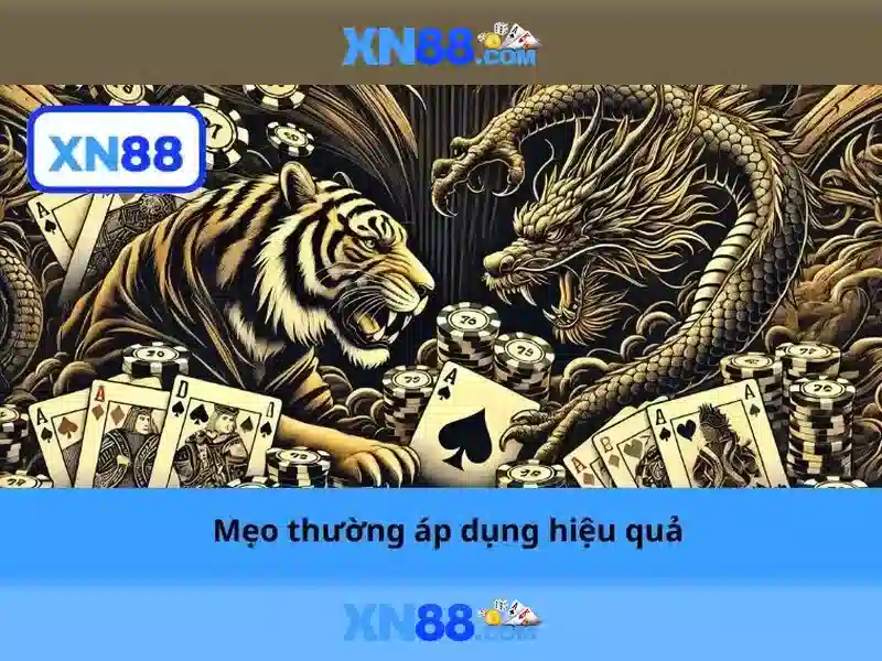 xn88 vip – tổng quan chủ đề và giá trị cốt lõi