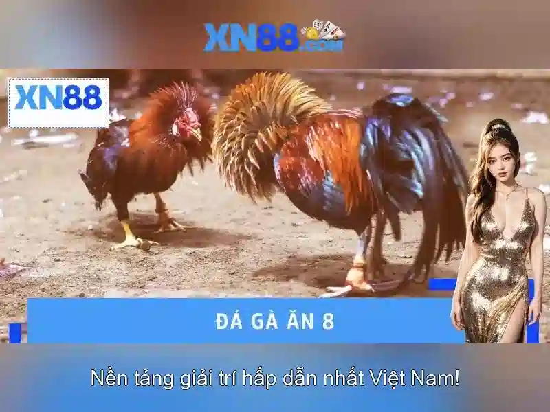 xn88 game – Trải nghiệm đỉnh cao và giá trị thương hiệu