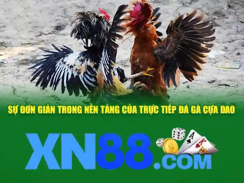 xn88 là gì: câu chuyện thương hiệu, trải nghiệm và đánh giá tổng quan